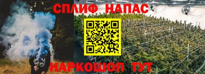 гидропоника Краснознаменск