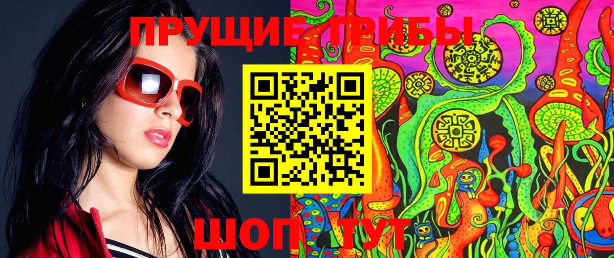 закладки  Галлюциногенные грибы MAGIC MUSHROOMS  Вход с VPN  Елизово 