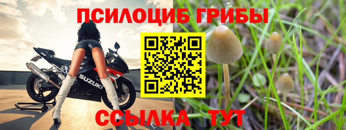 Галлюциногенные грибы Cubensis Елизово